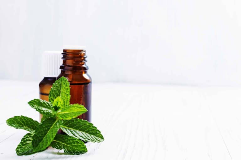 How to Use Peppermint Oil 5 easy to follow recipes