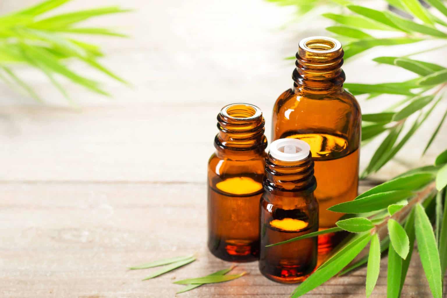 13 Tea Tree Oil Uses a Comprehensive Guide with Recipes