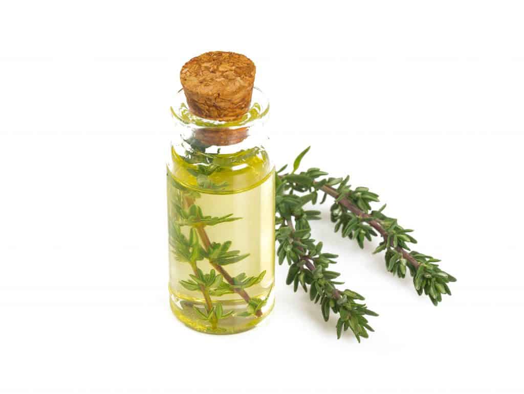 Thyme oil Health Tenfold