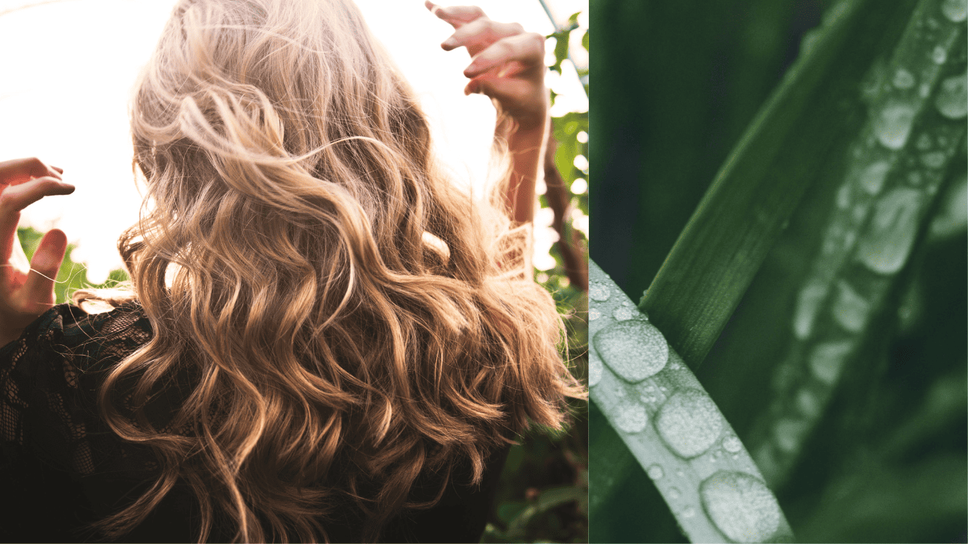 Lemongrass Oil Benefits for Hair Nourishing Your Locks Naturally